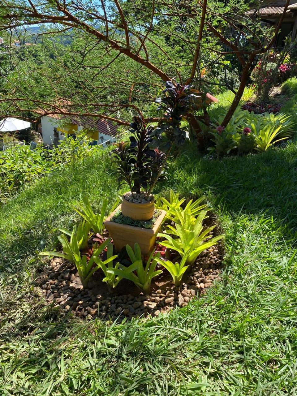 Pousada Casa Do Ipe Amarelo Miguel Pereira Extérieur photo